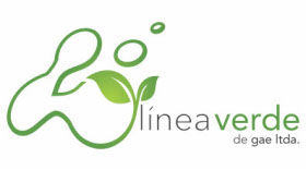 Header Línea Verde